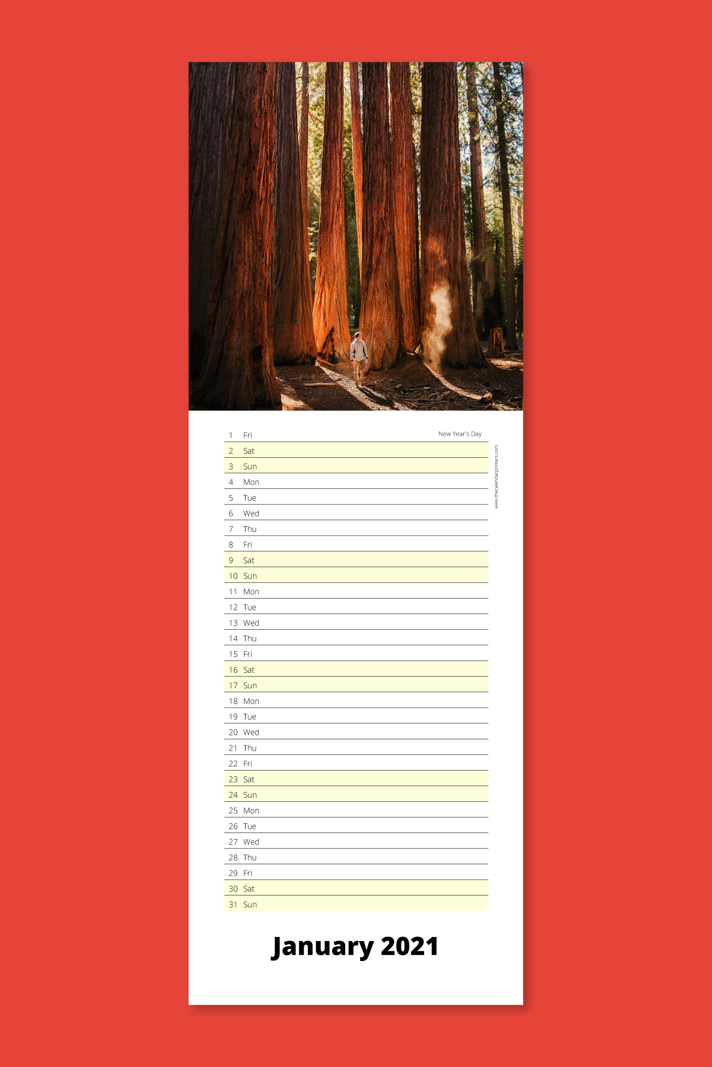 Slimline calendars for your wall